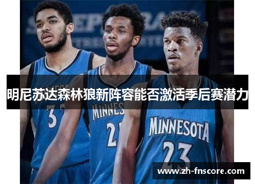 明尼苏达森林狼新阵容能否激活季后赛潜力 明尼苏达森林狼新阵容能否激活季后赛潜力