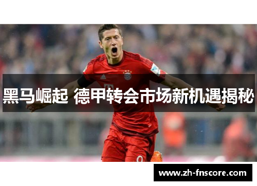 黑马崛起 德甲转会市场新机遇揭秘